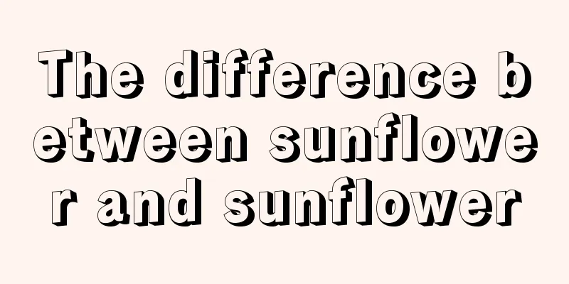 The difference between sunflower and sunflower