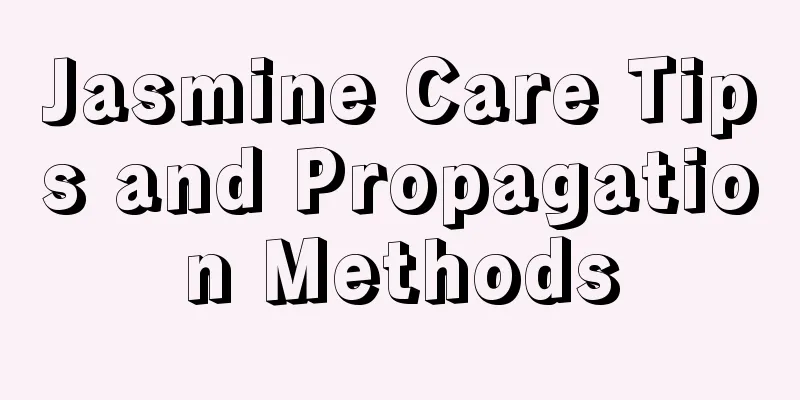 Jasmine Care Tips and Propagation Methods