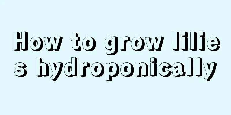 How to grow lilies hydroponically