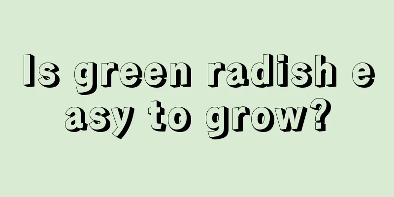 Is green radish easy to grow?