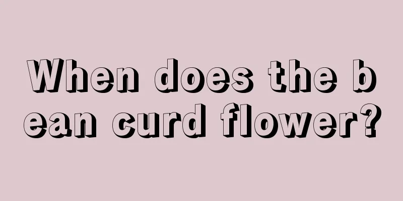 When does the bean curd flower?