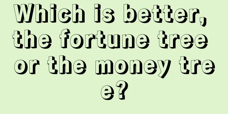 Which is better, the fortune tree or the money tree?