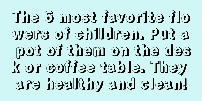 The 6 most favorite flowers of children. Put a pot of them on the desk or coffee table. They are healthy and clean!