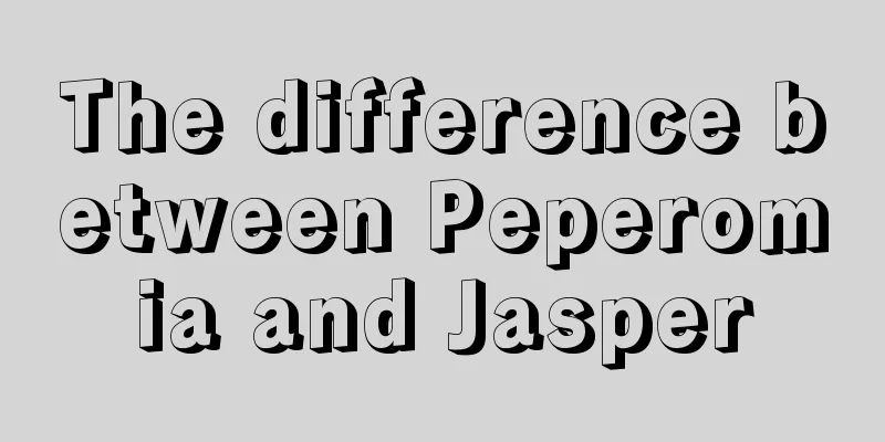 The difference between Peperomia and Jasper