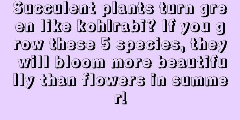 Succulent plants turn green like kohlrabi? If you grow these 5 species, they will bloom more beautifully than flowers in summer!