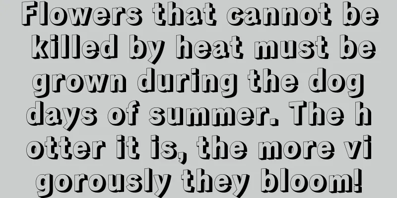 Flowers that cannot be killed by heat must be grown during the dog days of summer. The hotter it is, the more vigorously they bloom!