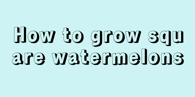 How to grow square watermelons