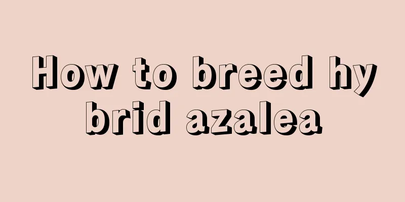 How to breed hybrid azalea