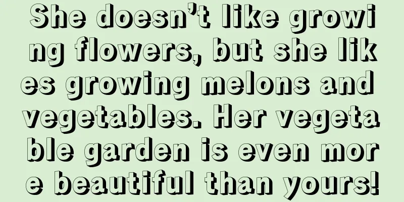 She doesn’t like growing flowers, but she likes growing melons and vegetables. Her vegetable garden is even more beautiful than yours!