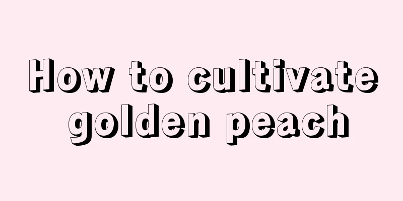 How to cultivate golden peach