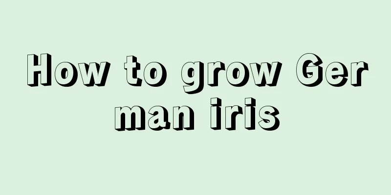 How to grow German iris