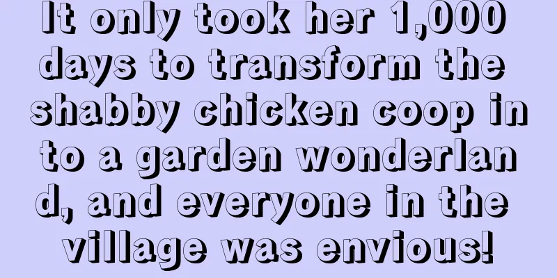 It only took her 1,000 days to transform the shabby chicken coop into a garden wonderland, and everyone in the village was envious!