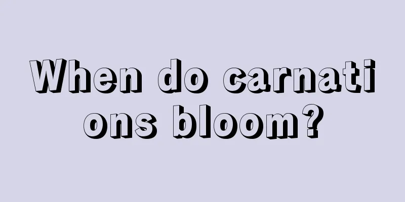 When do carnations bloom?