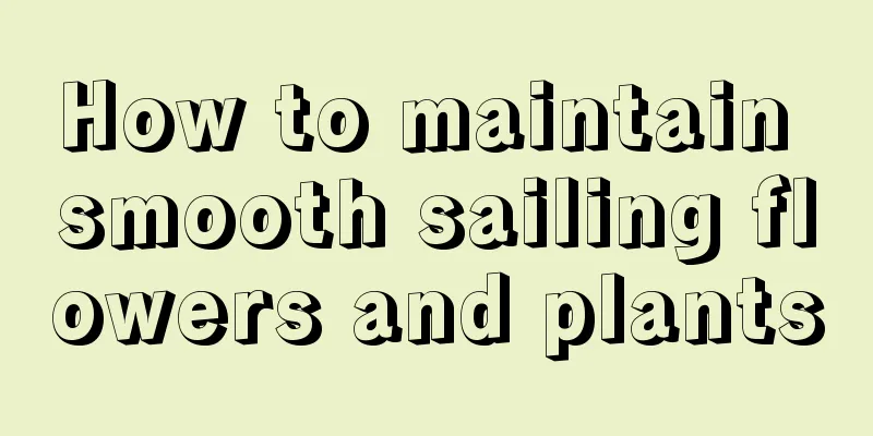 How to maintain smooth sailing flowers and plants