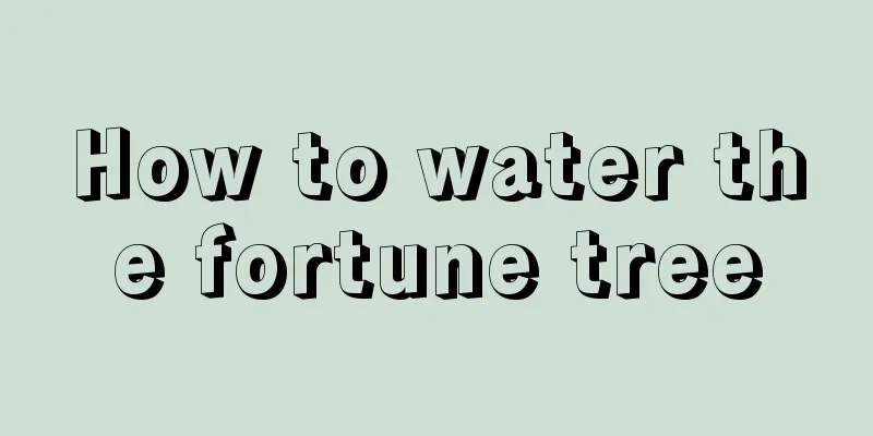 How to water the fortune tree