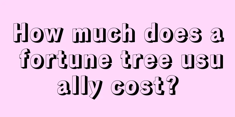 How much does a fortune tree usually cost?