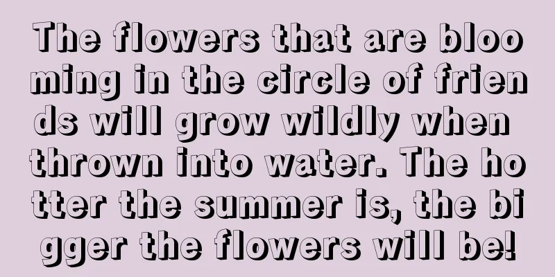 The flowers that are blooming in the circle of friends will grow wildly when thrown into water. The hotter the summer is, the bigger the flowers will be!