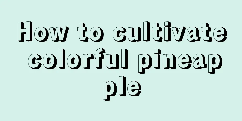 How to cultivate colorful pineapple