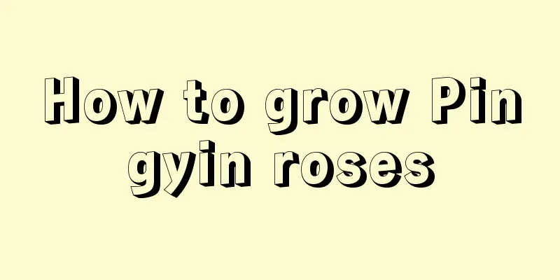 How to grow Pingyin roses