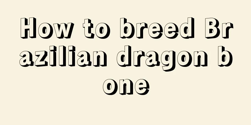 How to breed Brazilian dragon bone