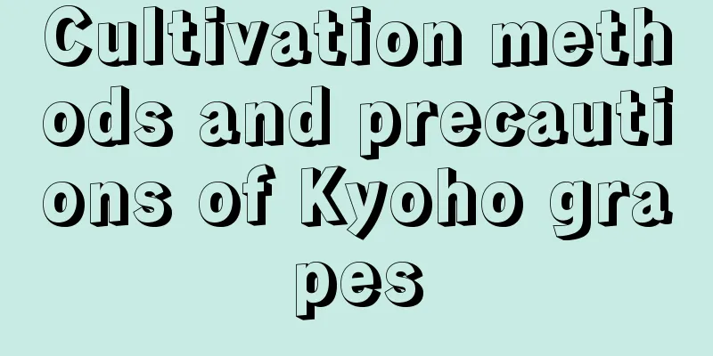 Cultivation methods and precautions of Kyoho grapes