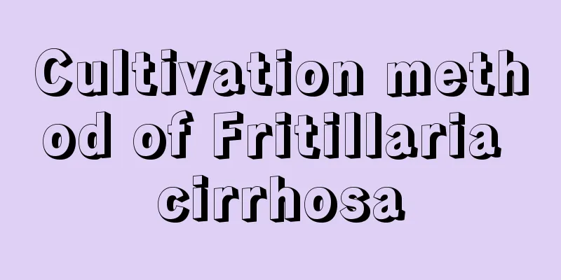 Cultivation method of Fritillaria cirrhosa