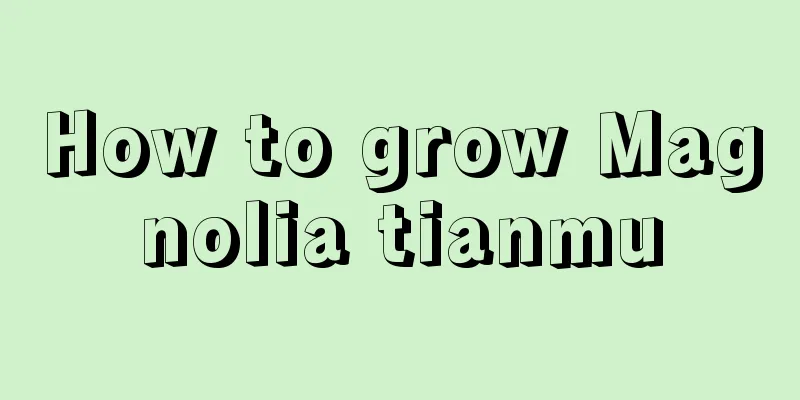 How to grow Magnolia tianmu