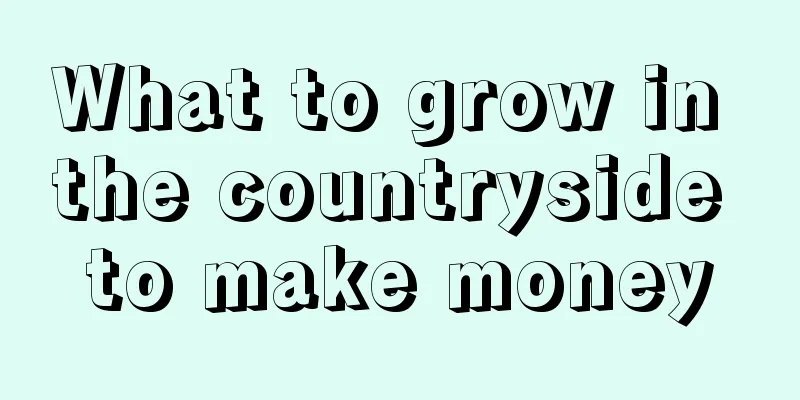 What to grow in the countryside to make money