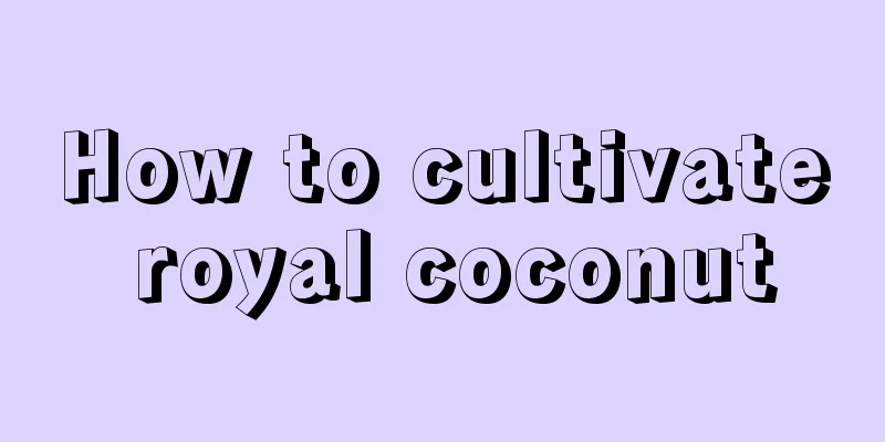 How to cultivate royal coconut