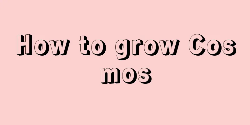 How to grow Cosmos