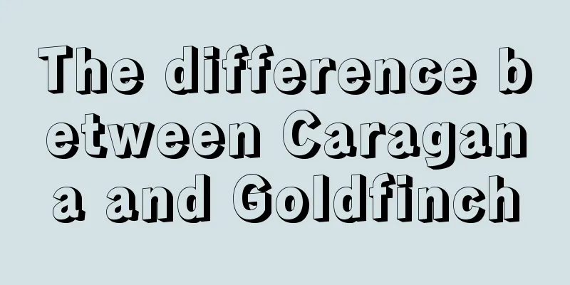 The difference between Caragana and Goldfinch