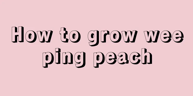 How to grow weeping peach