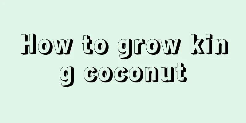 How to grow king coconut