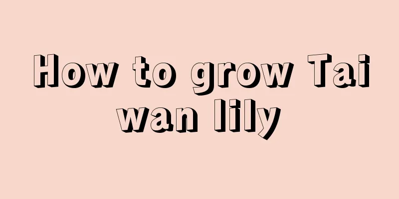 How to grow Taiwan lily