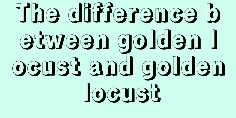 The difference between golden locust and golden locust