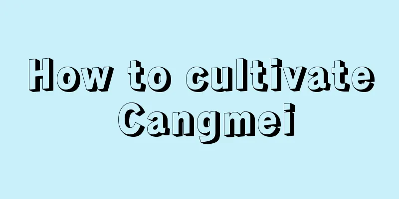 How to cultivate Cangmei