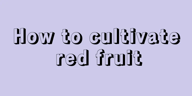 How to cultivate red fruit