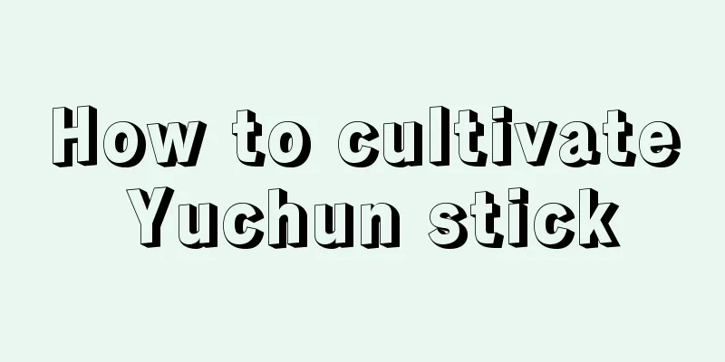 How to cultivate Yuchun stick