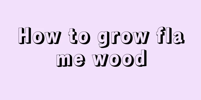 How to grow flame wood