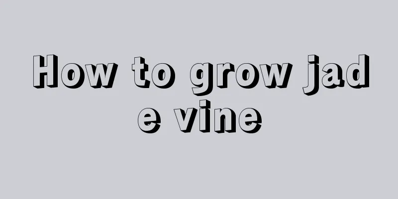 How to grow jade vine