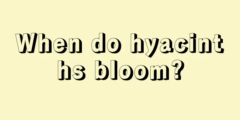 When do hyacinths bloom?