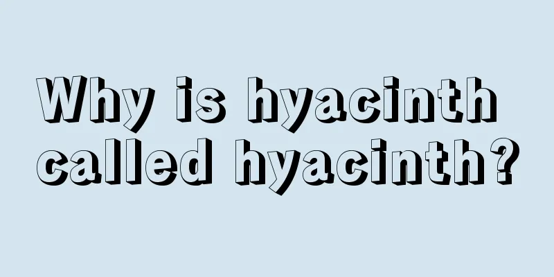 Why is hyacinth called hyacinth?