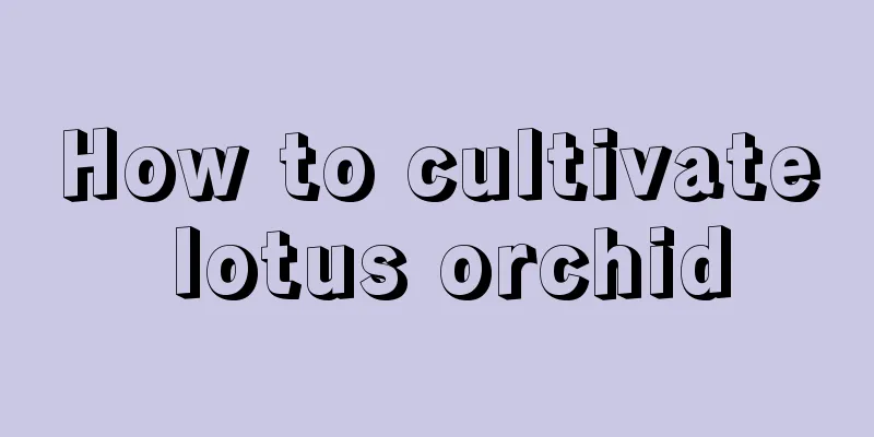 How to cultivate lotus orchid