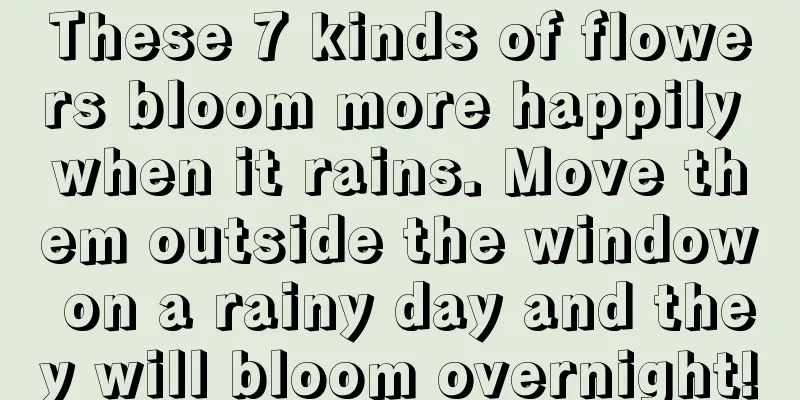 These 7 kinds of flowers bloom more happily when it rains. Move them outside the window on a rainy day and they will bloom overnight!