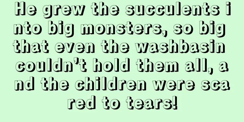 He grew the succulents into big monsters, so big that even the washbasin couldn’t hold them all, and the children were scared to tears!