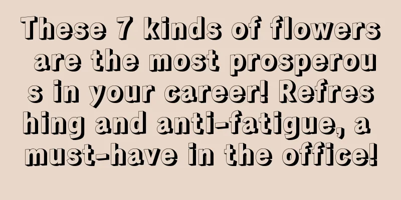 These 7 kinds of flowers are the most prosperous in your career! Refreshing and anti-fatigue, a must-have in the office!