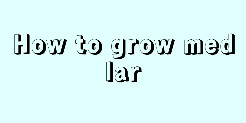 How to grow medlar