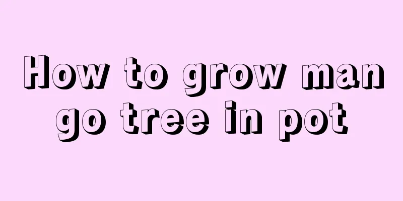 How to grow mango tree in pot