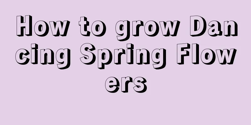 How to grow Dancing Spring Flowers