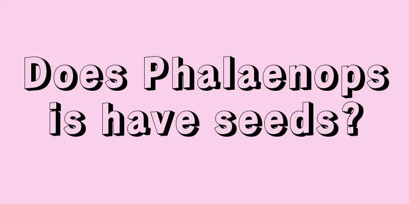 Does Phalaenopsis have seeds?